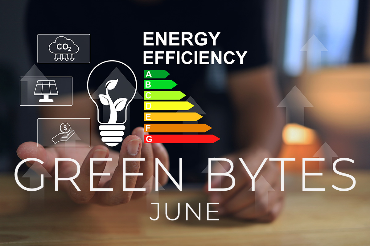 Green Bytes Snackable Snippets June 2024